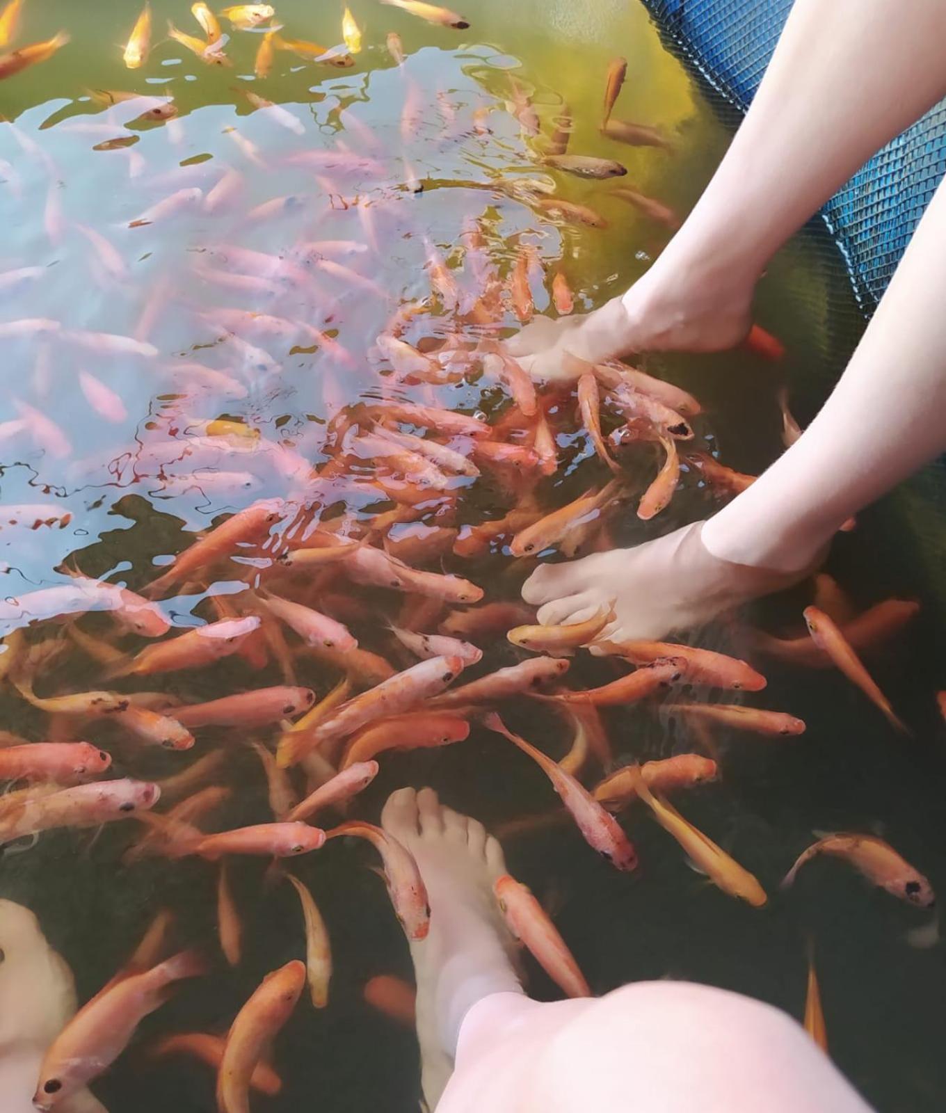 Lake Lane Guest Rest 肯克拉 外观 照片